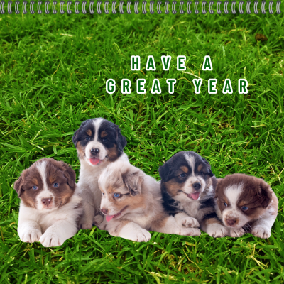 Calendar 2025 Puppy Gallery